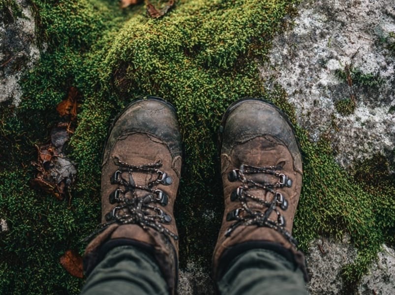 5 Snow-Free Hikes Near Tacoma