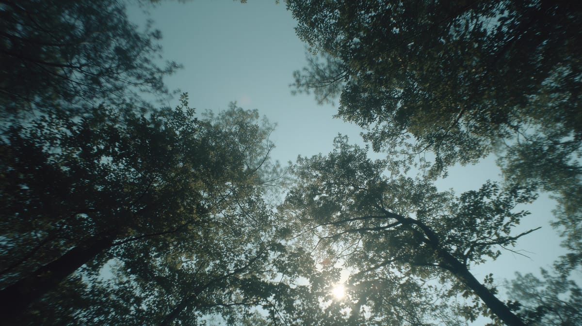 Do Trees Add to Your Home's Value?