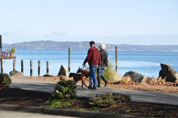9 Scenic Cites for Tacoma Photos