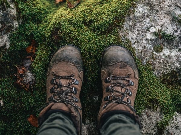 5 Snow-Free Hikes Near Tacoma