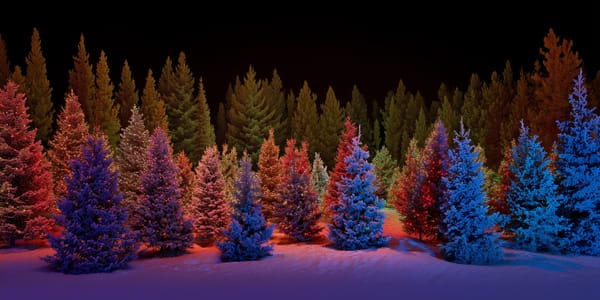 Cut Your Own Christmas Tree